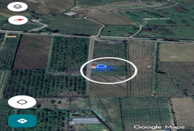 زمین ۲۰۰۰ متری روستای امامدشت عباس اباد