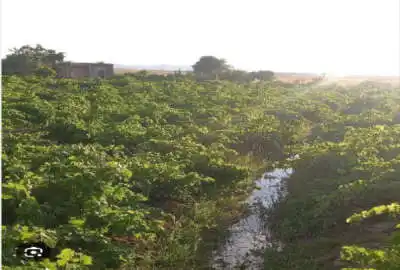 زمین باغی جهت ساخت ویلا در گلمکان ۶۸۰ متر