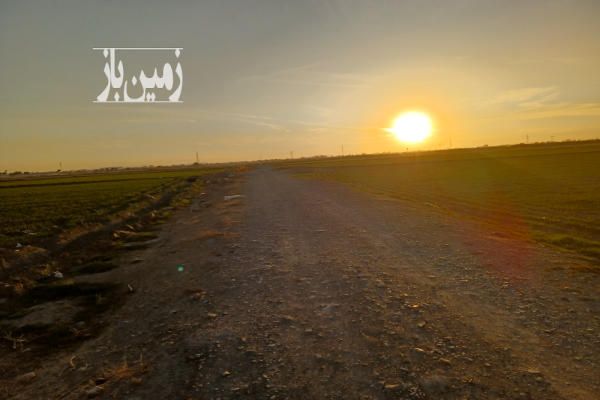 زمین ٣٧٠٠٠ متر مربع مزروعی دوبر قیمت مناسب در کمر بندی شهر قدس-4