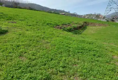 زمین باغی ۶۰۰۰ متری در روستای استخر سر پلسفید