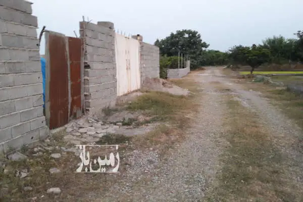 ۵۰ متر زمین کوچسرا اول ورودی کروا گلستان نوین یک - تصویر 3