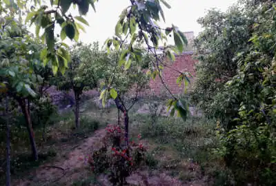 زمین مسکونی مناسب ۲۶۸ متری دو نبش داخل کوچه با سند تک برگ