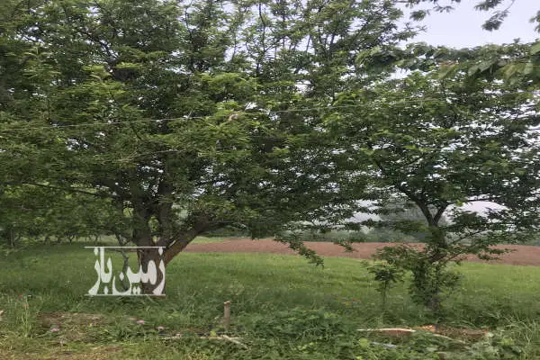 زمین ییلاقی مستثنیات متراژ ۳۰۰ و مسکونی - تصویر 4