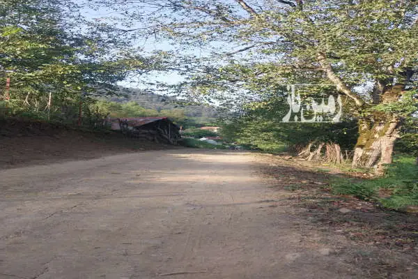 زمین کشاورزی روستای سیله سر بالاتراز از کیش دیبی قبل از مریان - تصویر 2
