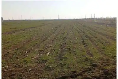 زمین کشاورزی ۴۵۰۰ متری روستای حسن آباد