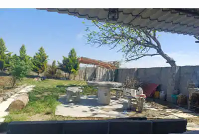 باغ مرکبات تامسون خونی با خانه باغ ۱۵۲۵ متر