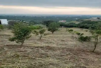 زمین مسکونی ۳۳۰۰ متر در روستای کردخیل قائمشهر