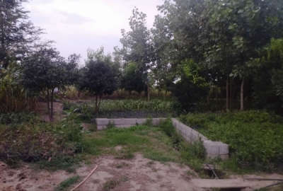 زمین مسکونی در روستای مردابسر رودسر ۴۸۰ متر