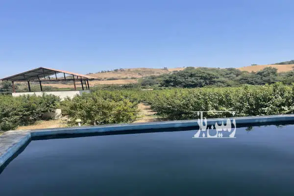 زمین کشاورزی ۴۵۰۰ واقع در شمال شهرنکا روستای کمیشان - تصویر 2
