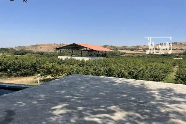 زمین کشاورزی ۴۵۰۰ واقع در شمال شهرنکا روستای کمیشان - تصویر 3