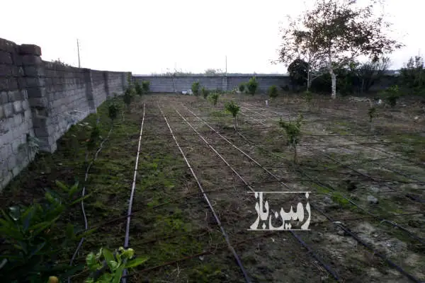 هزار متر باغ با کاربری مسکونی واقع در روستای کوکنده - تصویر 3
