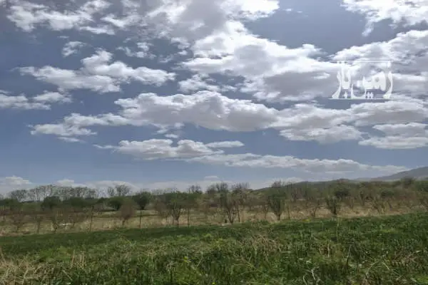 زمین کشاورزی اطراف فریدونشهر قهستگان ۱۴۰۰ متر - تصویر 2