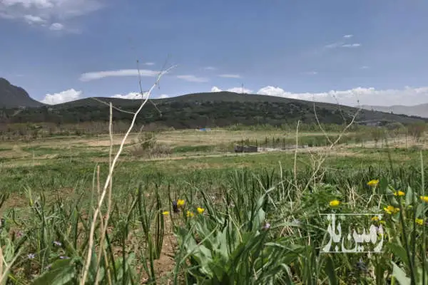 زمین کشاورزی اطراف فریدونشهر قهستگان ۱۴۰۰ متر - تصویر 3