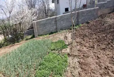 زمین باغی کجور محدوده کندلوس وجه نقد یا معاوضه