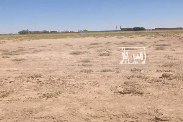 ۳۰۰ متر زمین گل تپه ورامین جاده باخاست اول علی آباد - تصویر 2
