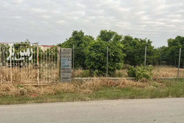 باغ ۱۱۰۰ متری جاده دریا روستای سوته سازی - تصویر 2