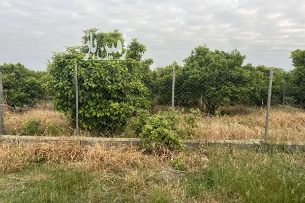باغ ۱۱۰۰ متری جاده دریا روستای سوته سازی - تصویر 4