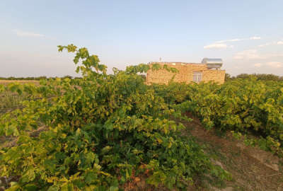 ۶۷۰۰ متر زمین دو بر با خانه ۵۰ متری روستای کوشکک و برزلجین