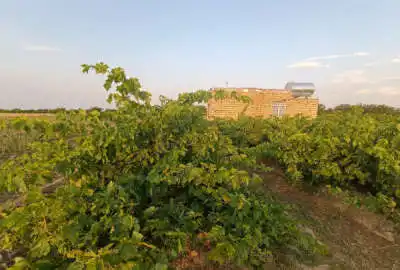 ۶۷۰۰ متر زمین دو بر با خانه ۵۰ متری روستای کوشکک و برزلجین