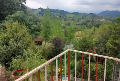زمین مسکونی در روستای مازی کله لاهیجان ۱۴۱۰ متر