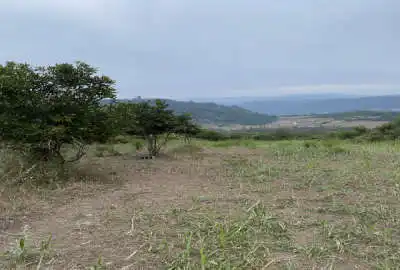 زمین باغی ۱۰۰۰ متری در روستای بالاکولا فروشی