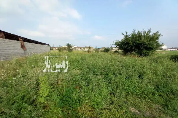 زمین باغی ۳۵۰ متری روستای حاجی کلا لاله اباد - تصویر 4