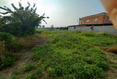 زمین باغی ۳۵۰ متری روستای حاجی کلا لاله اباد