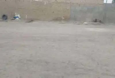 زمین مناسب باغچه و ساخت و ساز و خانه در پیشوا ۲۹۰ متر
