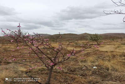 باغ و خانه با درختان میوه خوانسار روستای خم پیچ سه و نیم هکتار