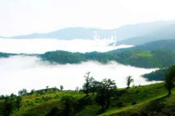 زمین مسکونی جنگل ابر مخصوص ویلاسازی و سوئیت ۴۰۷ متر - تصویر 2