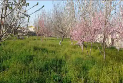 زمین مسکونی دربافت روستا یامعاوضه با آپارتمان یاخودرو شاسی