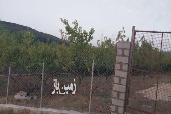 فروش ۶۰۰ متر باغ شلیل در ساری کیاپی - تصویر 2