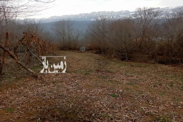 زمین مسکونی و باغی در شمال روستای رجه سند تک برگ-1