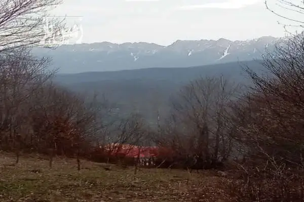 زمین مسکونی و باغی در شمال روستای رجه سند تک برگ - تصویر 4