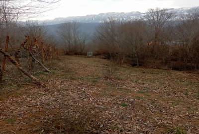 زمین مسکونی و باغی در شمال روستای رجه سند تک برگ