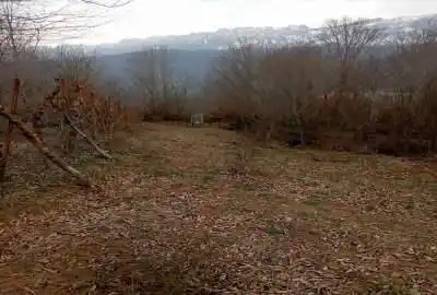 زمین مسکونی و باغی در شمال روستای رجه سند تک برگ