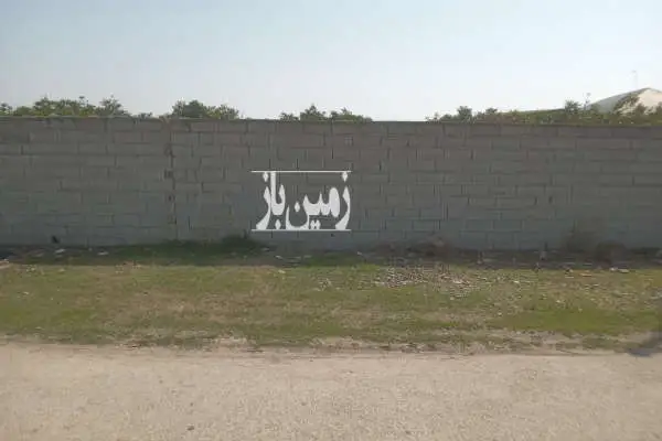 زمین مسکونی خانه سرا دارای نهال تامسون ۱۵ ساله ۵۰۰ متر - تصویر 3