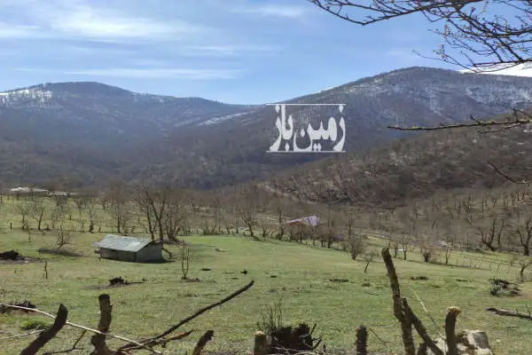 زمین مسکونی ییلاقی دارای امتیاز جاده اختصاصی ۳۵۰۰ متر فروشی - تصویر 2