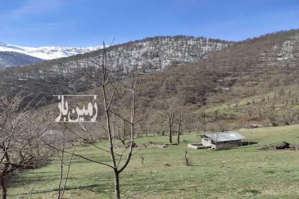 زمین مسکونی ییلاقی دارای امتیاز جاده اختصاصی ۳۵۰۰ متر فروشی - تصویر 4