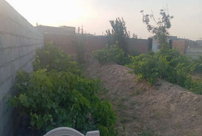 باغچه ویلایی با ۳۰۰ متر زمین نزدیک میدان معلم