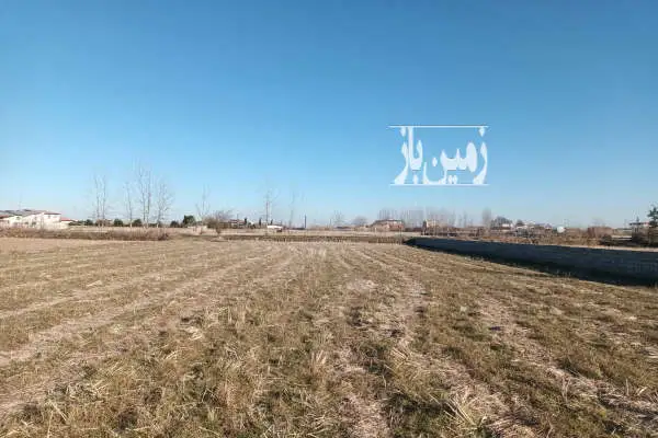 فروش زمین ۲۱۸۴ مترمربع آمل دوراهی اجی آباد - تصویر 3