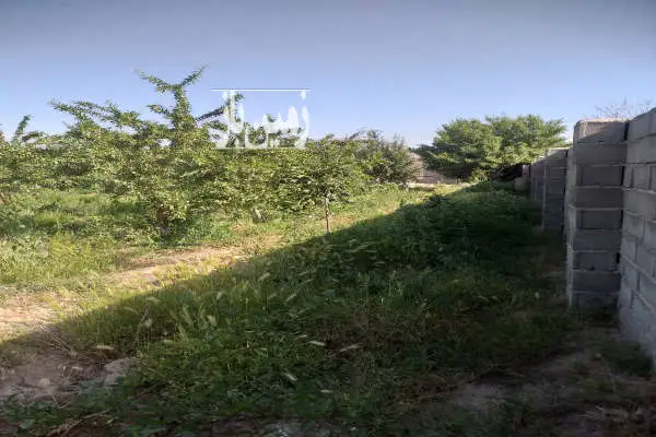 ۱۵۰۰متر باغ چهاردیواری در روستای امیرزکریا - تصویر 3