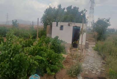 باغ کشاورزی دارای آلونک دارای اب درخت انگور و میوه لار ده