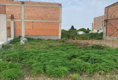 زمین مسکونی در بلوار کشاورز ۲۰۵ متر انشعابات کنار زمین