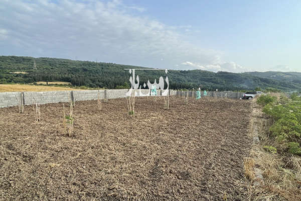 فروش ۷ هزار زمین کشاورزی بالای تپه روستای خارکش-2