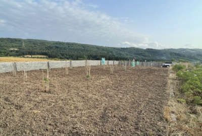 فروش ۷ هزار زمین کشاورزی بالای تپه روستای خارکش