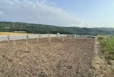 فروش ۷ هزار زمین کشاورزی بالای تپه روستای خارکش