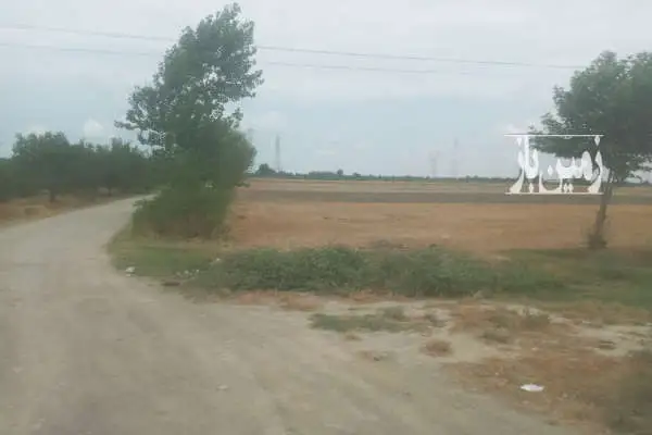 زمین فروشی کشاورزی واقع در جاده اصلی دوسمت چاه آب ۴۲ در سیصد - تصویر 2