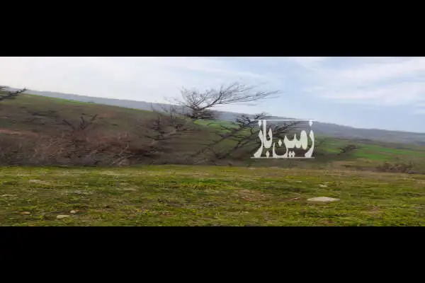 زمین ۵۰۰ متر چهار دانگه روستای نرگس زمین - تصویر 2