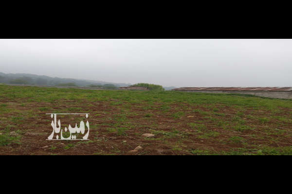 زمین ۵۰۰ متر چهار دانگه روستای نرگس زمین-3
